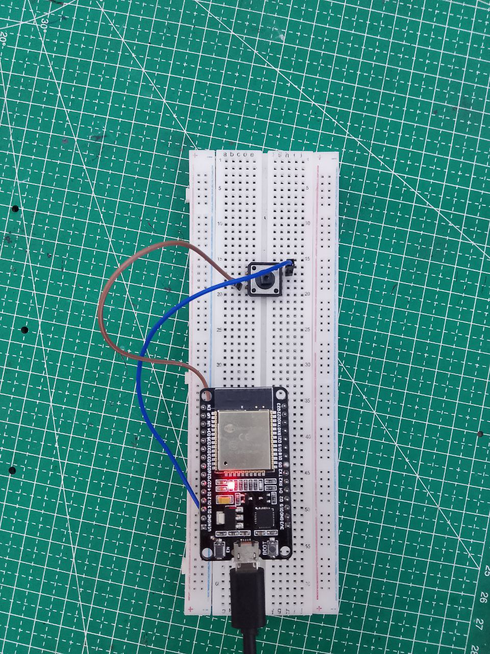 Panduan Praktis: Push Button Menggunakan ESP32
