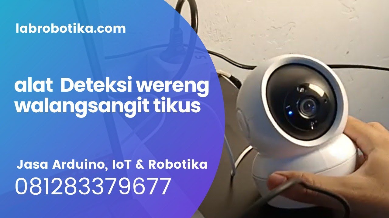 alat Deteksi wereng walangsangit tikus