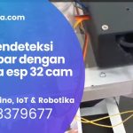 alat mendeteksi ikan lapar dengan kamera esp32 cam
