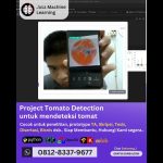 Jasa Machine Learning Project Tomato Detection, Mendeteksi Tomat