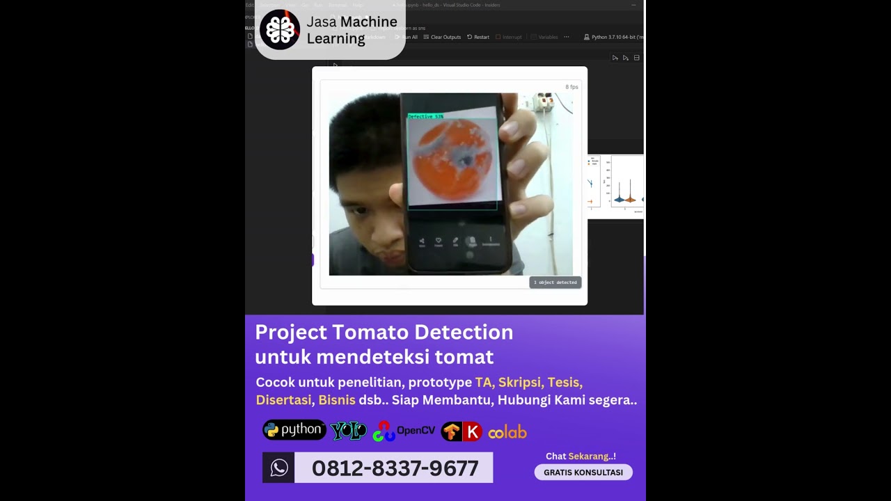 Jasa Machine Learning Project Tomato Detection, Mendeteksi Tomat