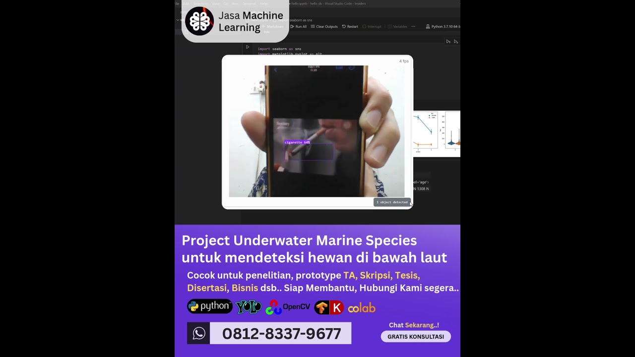 Jasa Machine Learning Project Underwater Marine Species, Deteksi Otomatis Hewan Bawah Laut