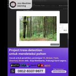 Jasa Machine Learning Project Tree Detection, Mendeteksi Pohon