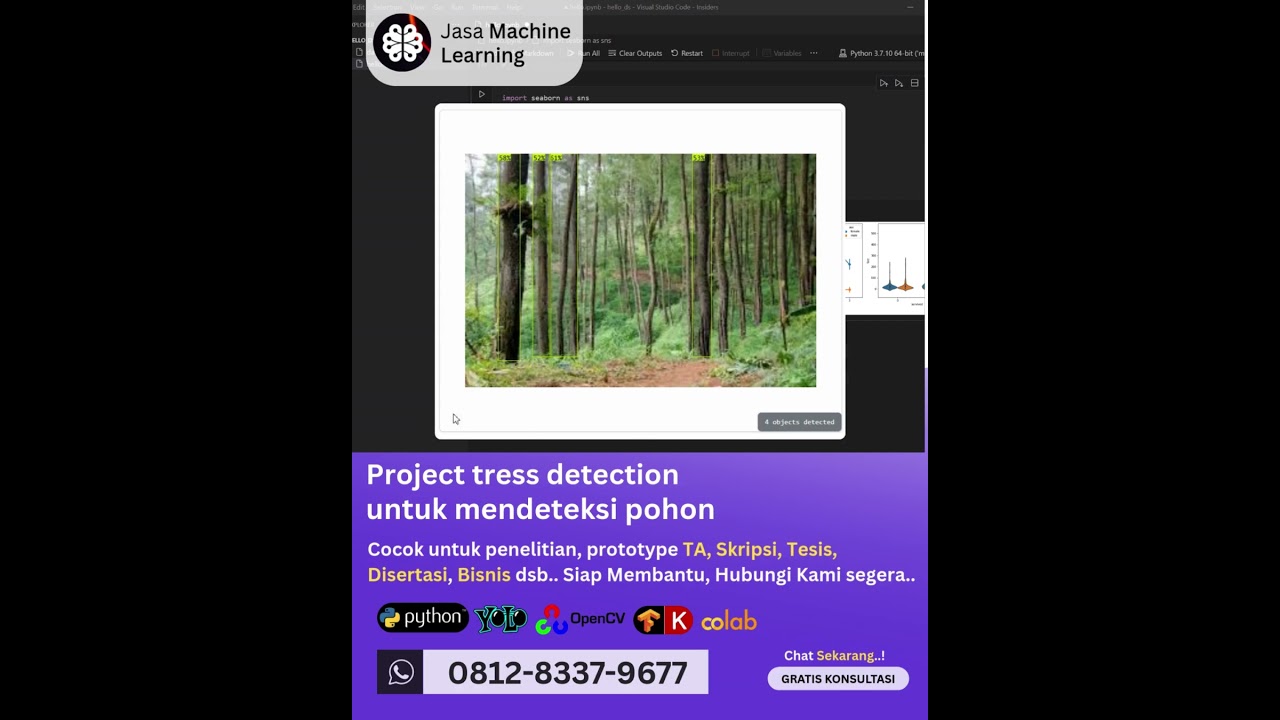 Jasa Machine Learning Project Tree Detection, Mendeteksi Pohon