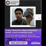 Jasa machine learning Project Multiclass Object Detection Model, untuk mendeteksi buah