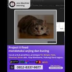 Jasa Machine Learning Project ii fixed, Deteksi Anjing dan Kucing