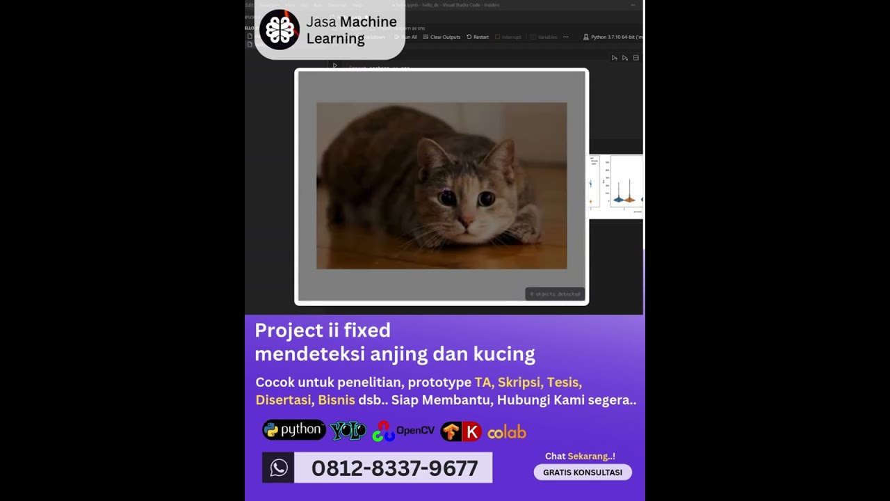 Jasa Machine Learning Project ii fixed, Deteksi Anjing dan Kucing