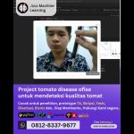 Jasa machine learning Project Tomato disease ofise, mendeteksi kualitas tomat