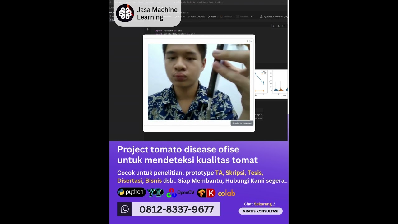 Jasa machine learning Project Tomato disease ofise, mendeteksi kualitas tomat