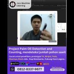 Jasa machine learning Project Palm Oil Detection and Counting, mendeteksi jumlah pohon sawit