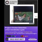 Jasa machine learning Project Chicken Detection, mendeteksi ayam
