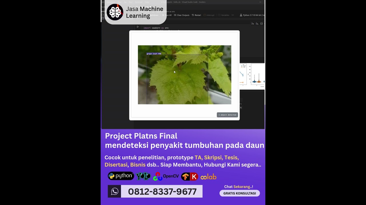 Jasa machine learning Project Platns Final, mendeteksi penyakit pada tumbuhan