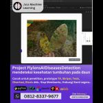 Jasa machine learning Project FlylensAIDiseasesDetection, mendeteksi kesehatan tumbuhan pada daun