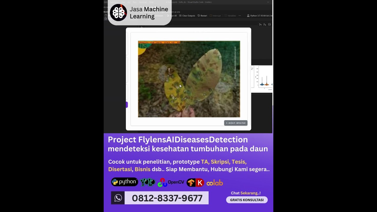 Jasa machine learning Project FlylensAIDiseasesDetection, mendeteksi kesehatan tumbuhan pada daun