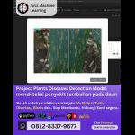 Jasa Machine Learning Project, Model Deteksi Penyakit Tanaman Daun