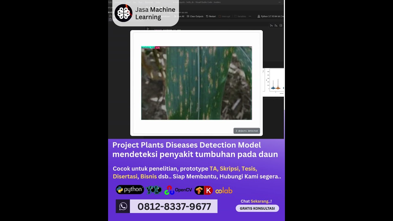 Jasa Machine Learning Project, Model Deteksi Penyakit Tanaman Daun