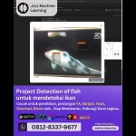 Jasa Machine Learning Project Detection of fish, Mendeteksi Ikan