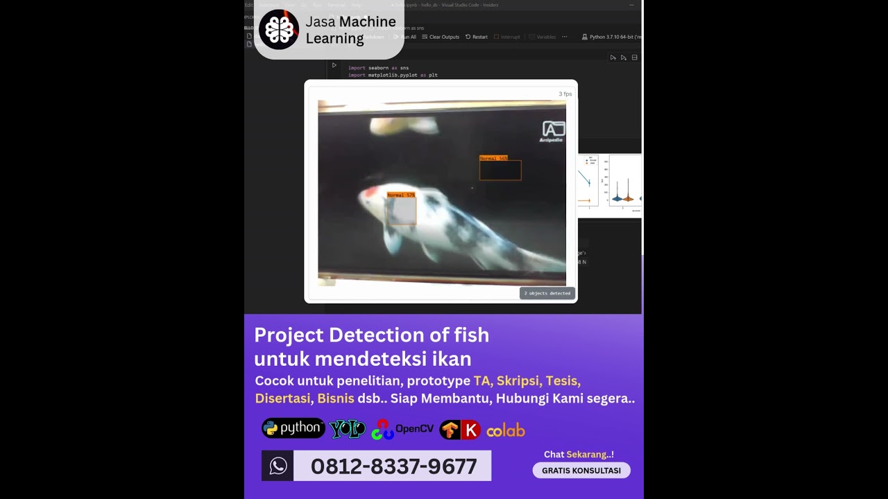 Jasa Machine Learning Project Detection of fish, Mendeteksi Ikan