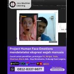 Jasa machine learning Project Human Face Emotions, ekspresi wajah manusia