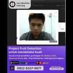 Jasa machine learning Project fruit detection, mendeteksi buah