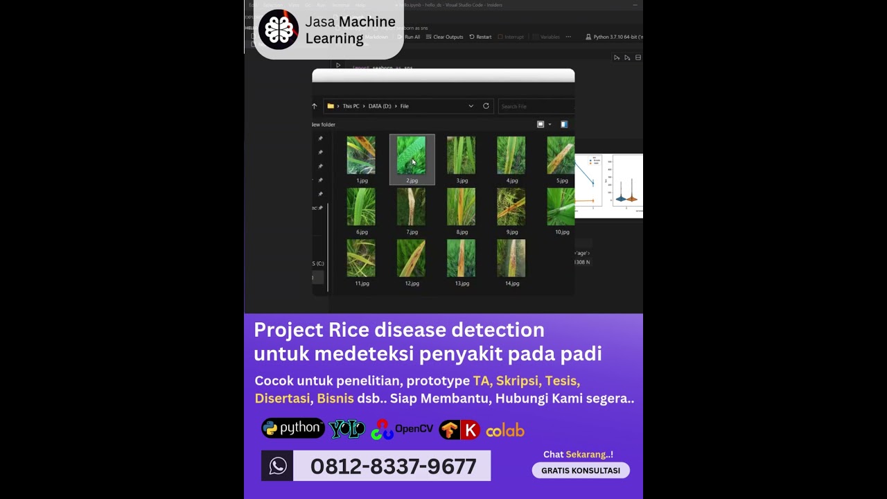 Deteksi Penyakit Daun Tanaman Padi Berbasis Vision AI