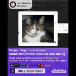 Segmentasi Objek Manusia dan Kucing dengan YOLOv8