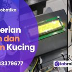 Alat Pemberian Pakan dan Minum Kucing Cerdas Otomatis